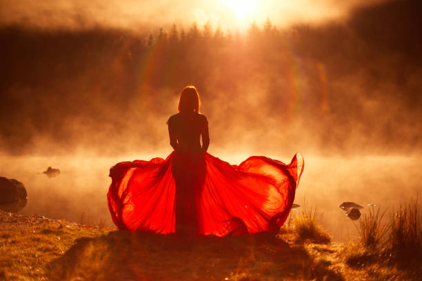 istock Mystery in the fog... 1191287395