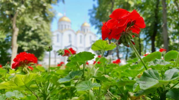 Vladimir. The Golden Ring of Russia. The Golden Ring of Russia. The photos were taken in the city of Vladimir golden gate vladimir stock pictures, royalty-free photos & images