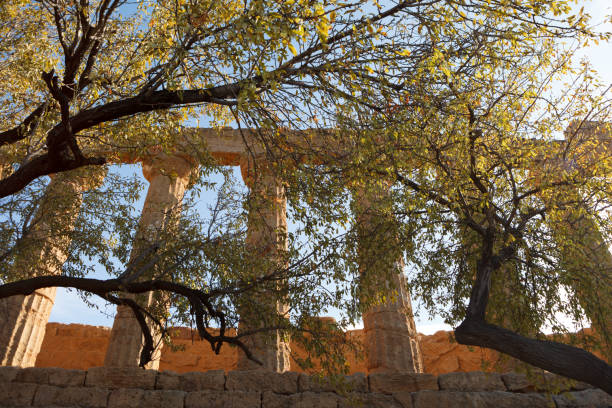 vale do templo em agrigento - greek culture agrigento landscape colonnade - fotografias e filmes do acervo