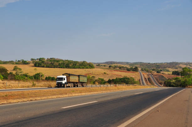 istock scenic road in central Brazil 1191292600