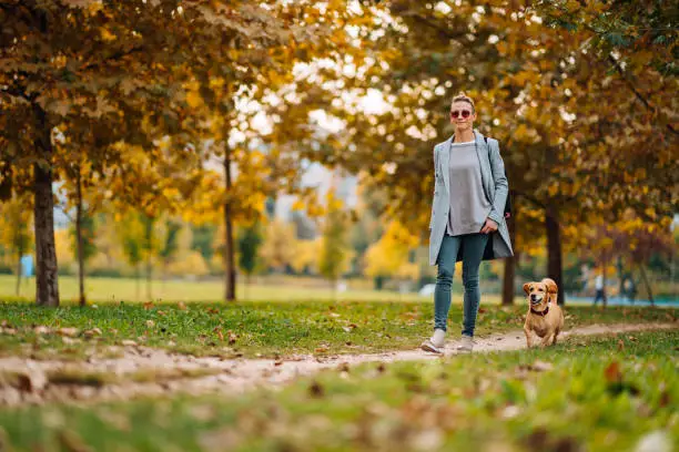 Photo of Happy woman walking on a park trail with a small brown dog in autumn
