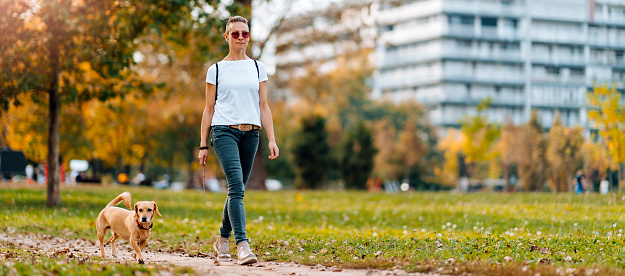 Woman wearing white t-shirt and sunglasses walking in the park with a small brown dog in autumn
