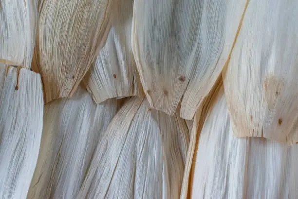 Photo of Mexican cooking corn husks Hojas Para Tamales background