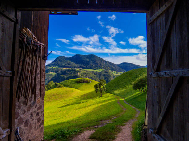 Idyllic alpine landscape in Sant'Osvaldo (St. Oswald), Castelrotto (Kastelruth), Dolomites, northern Italy