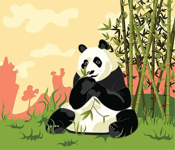Vector illustration of Wild Panda Bear