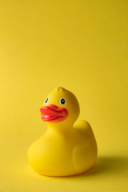 istock Rubber duck toy for swimming on yellow background. 1191310229