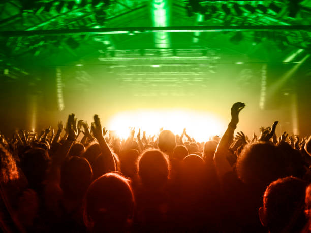 istock Concert stage, people are visible waving and clapping, silhouettes are visible 1191310649