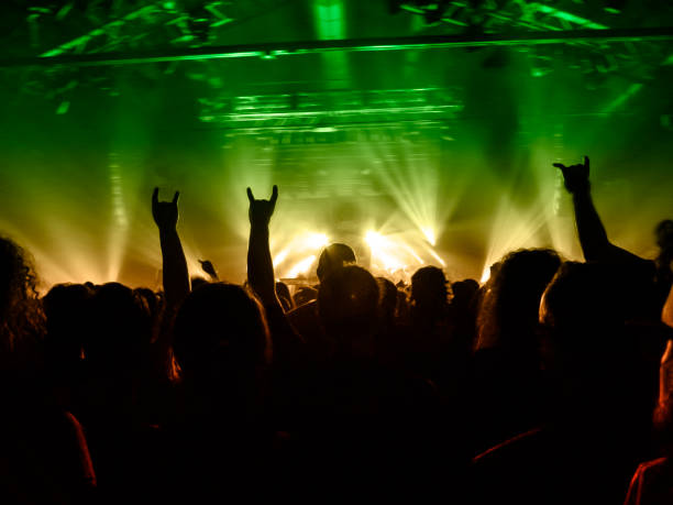 istock Concert stage, people are visible waving and clapping, silhouettes are visible 1191310650