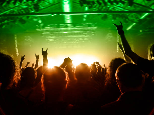 istock Concert stage, people are visible waving and clapping, silhouettes are visible 1191310651