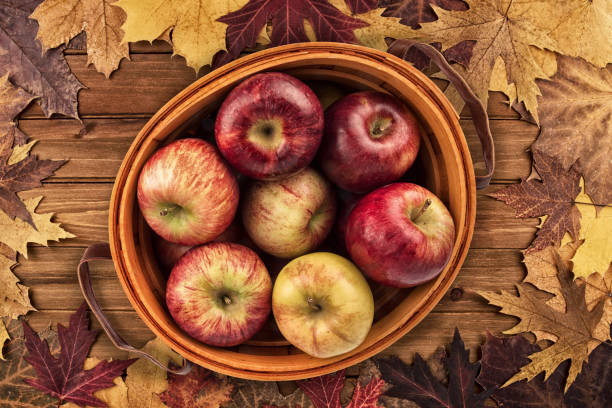 istock Apples basket and maple leaves disposed on a wooden table. 1191310743