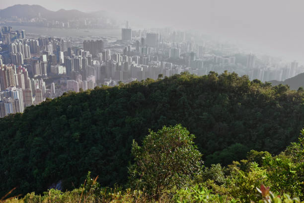 istock Lion Rock Hong Kong 1191318717