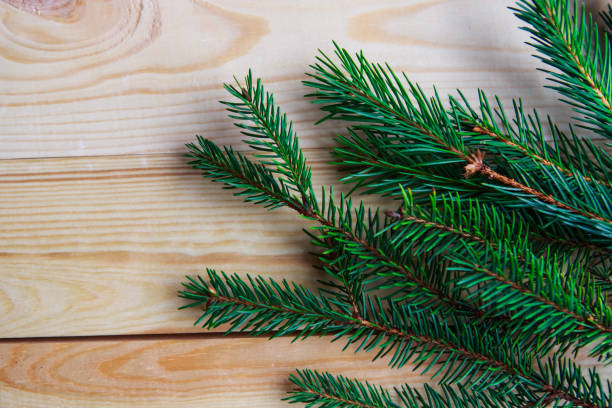 istock Spruce branches on wooden background 1191322722