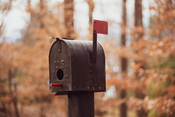 istock Birdhouses in the Yard 1191328161
