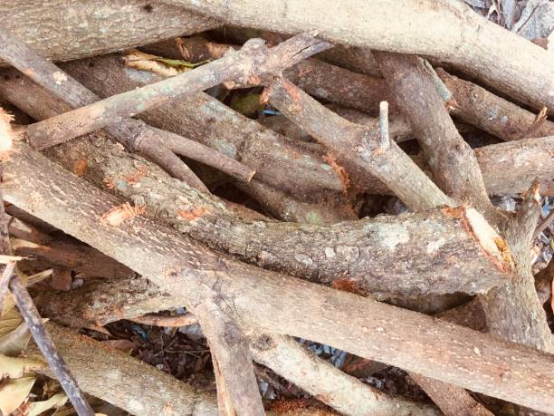 istock Dry wood for making firewood 1191328414