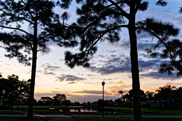 istock sunset in the swamp 1191333082