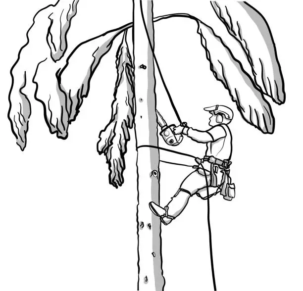 Vector illustration of Tree Climber