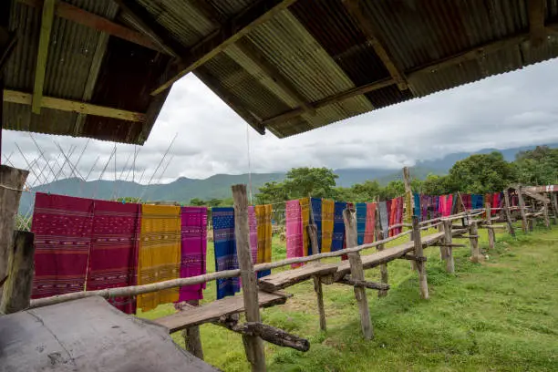 Photo of Natural homestay ,Best Organic Farm Stays in Thailand