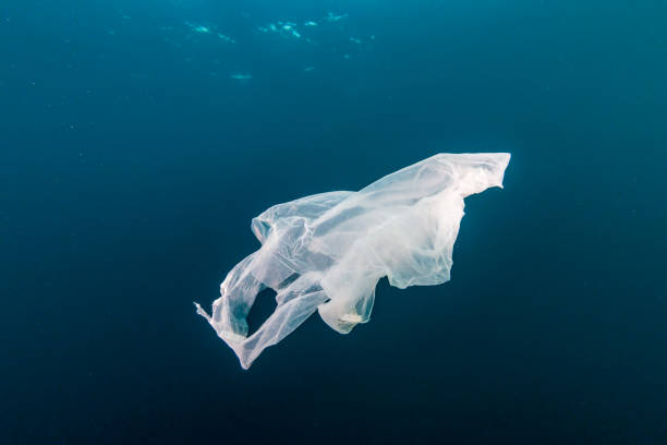 istock Plastic Pollution in the Ocean - A discarded plastic bag drifting underwater in a tropical ocean 1191344781