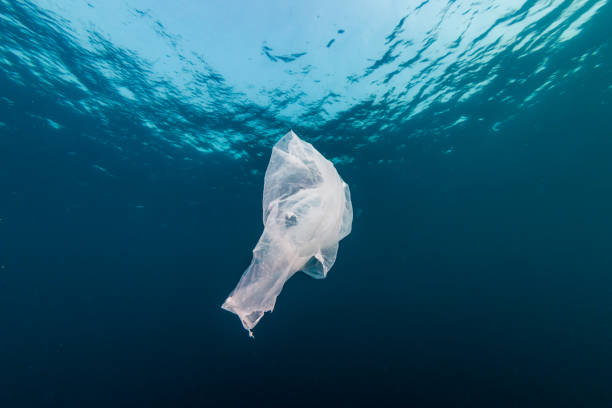 istock Plastic Pollution in the Ocean - A discarded plastic bag drifting underwater in a tropical ocean 1191344877