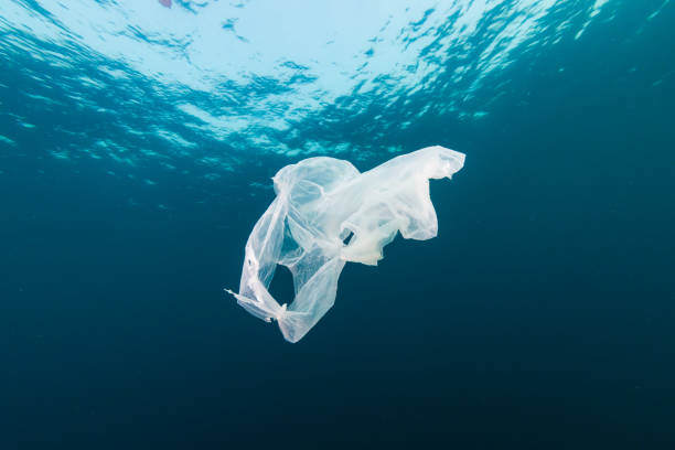 istock Plastic Pollution in the Ocean - A discarded plastic bag drifting underwater in a tropical ocean 1191344909