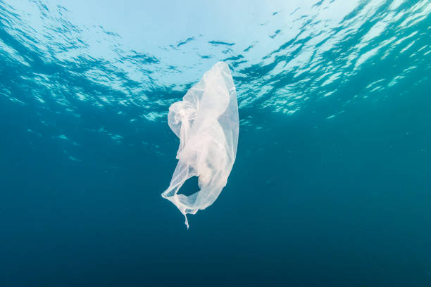istock Plastic Pollution in the Ocean - A discarded plastic bag drifting underwater in a tropical ocean 1191344986