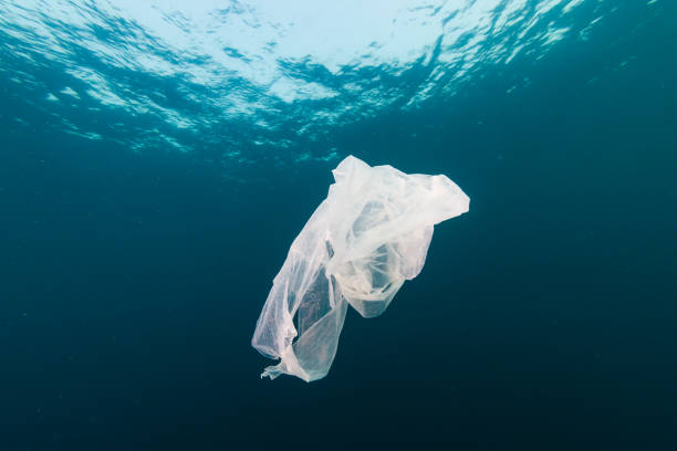 istock Plastic Pollution in the Ocean - A discarded plastic bag drifting underwater in a tropical ocean 1191345041