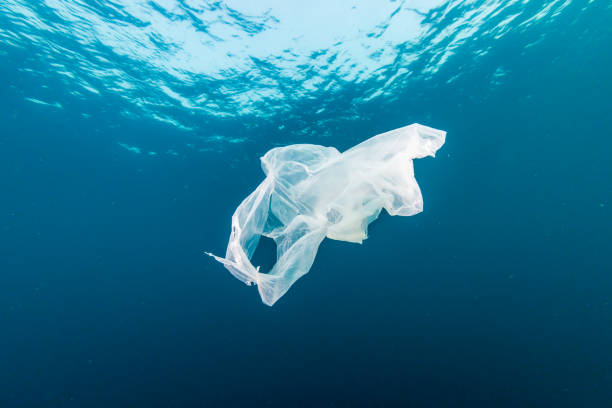 istock Plastic Pollution in the Ocean - A discarded plastic bag drifting underwater in a tropical ocean 1191345697