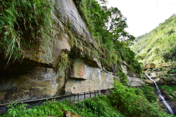 istock Bamboo creek trail hiking in Chiayi, Taiwan 1191350920