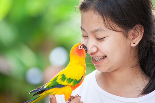 Beautiful little parrot birds standing on woman hand. Asian teenager girl play with her pet parrot bird with fun and love