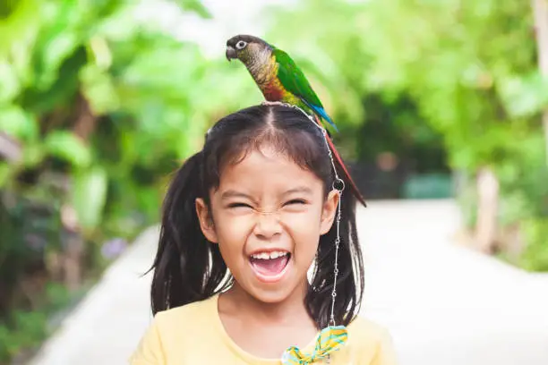 Beautiful little parrot birds standing on child head. Asian child girl play with her pet parrot bird with fun