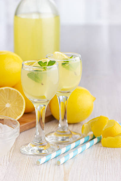 istock Alcohol cocktail drink with lemon, mint and ice. 1191355273