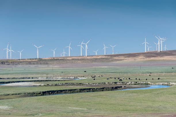 istock wind farm and beautiful pasture 1191359927