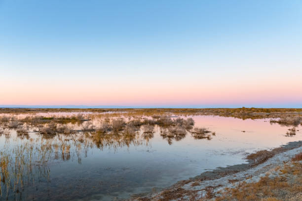 istock saline and alkaline land in autumn dusk 1191360945