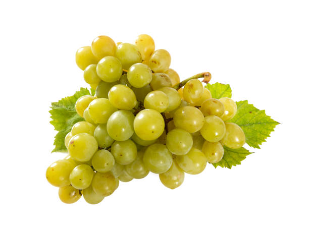istock bunch of green grapes on white 1191361934