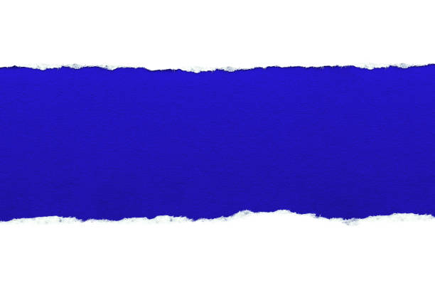 White paper with torn edges isolated with a dark blue color paper background inside. Good paper texture