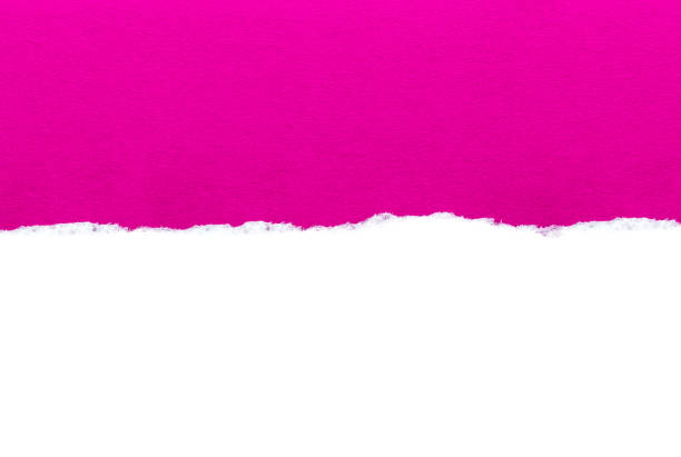 белая бумага с разорванными краями изолирована ярко-розовым цветом бумаги фон внутри. хорошая текстура бумаги - note rose image saturated color стоковые фото и изображения
