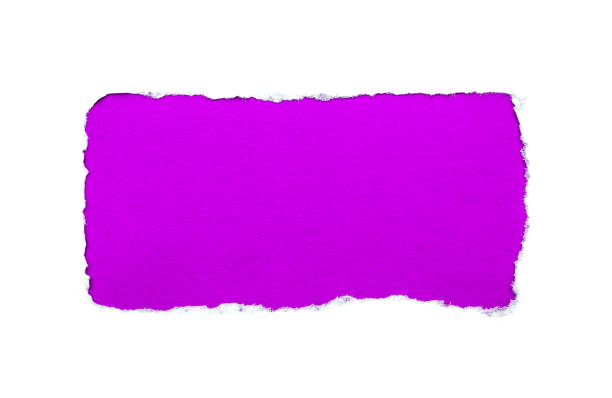 отверстие в белой бумаге с разорванными краями изолированы на белом фоне с ярким фиолетовым фоном цветной бумаги внутри. хорошая острая те� - note rose image saturated color стоковые фото и изображения