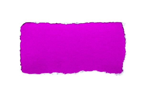 um furo no papel branco com as bordas rasgadas isoladas em um fundo branco com um fundo de papel violeta brilhante do papel para dentro. boa textura de papel afiada. - note rose image saturated color - fotografias e filmes do acervo
