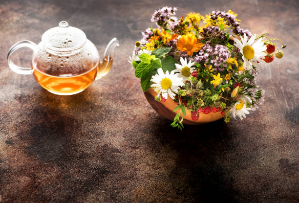 cups herbal tea and healing herbs in a wooden bowl on a brown concrete background. herbal medicine and phytotherapy - oregano freshness herb brown imagens e fotografias de stock