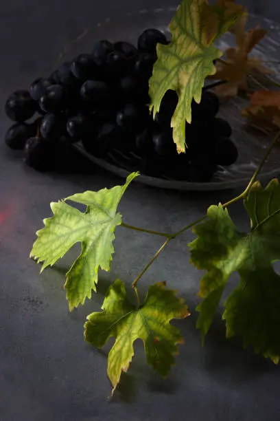 Photo of Wine grapes in a glass bowl and grape leaves on the table. Dark background.