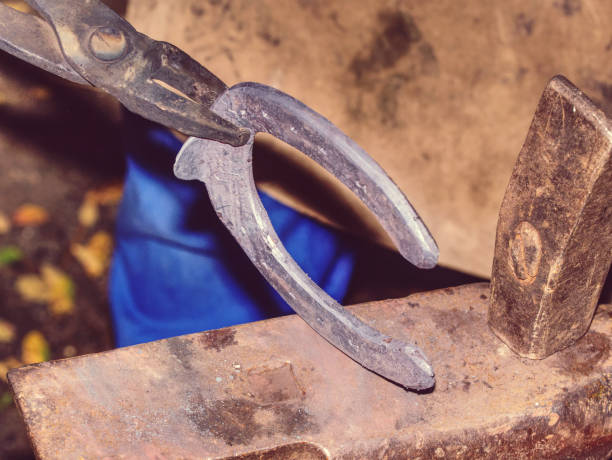 istock Blacksmith working on the anvil, making a horseshoe 1191371884