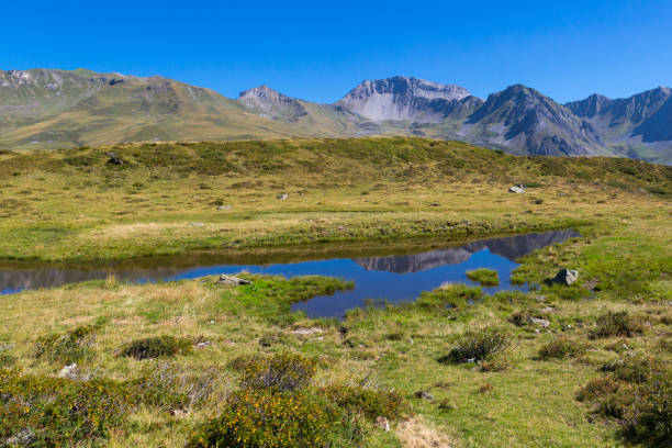 スイスのヴァイスフルヨッホ山、青空、緑の草 - weissfluhjoch ストックフォトと画像