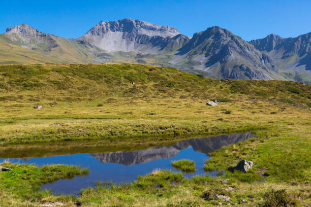 緑の草と青空を持つスイスアルプスのヴァイスフルヨッホ山 - weissfluhjoch ストックフォトと画像