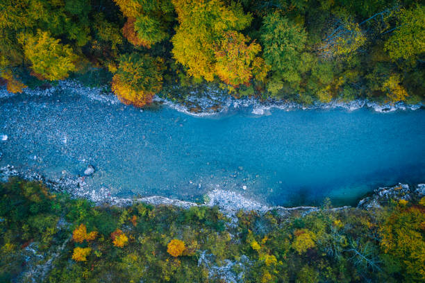 vista do rio que flui através da floresta outonal - autumn sky blue treetop - fotografias e filmes do acervo