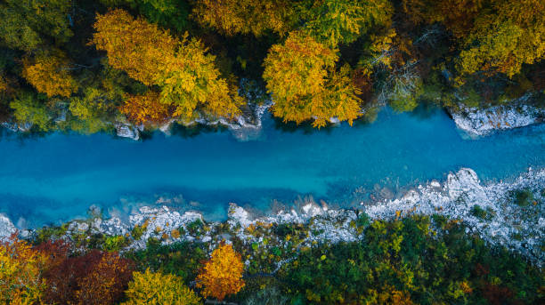 View of river flowing through autumnal forest