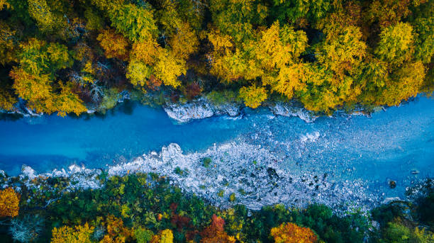 istock View of river flowing through autumnal forest 1191378980