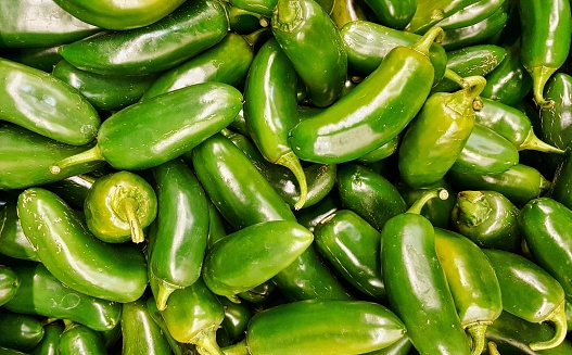 Raw green Jalapeno peppers in a pile on a market stand. It has a Scoville heat unit of around 3500. It is also the state pepper of Texas and can be prepared a number of ways in food dishes.