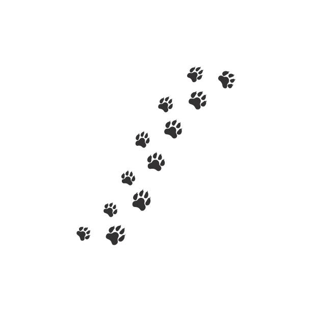 Raccoon Paw Print Vector Free | AI, SVG and EPS