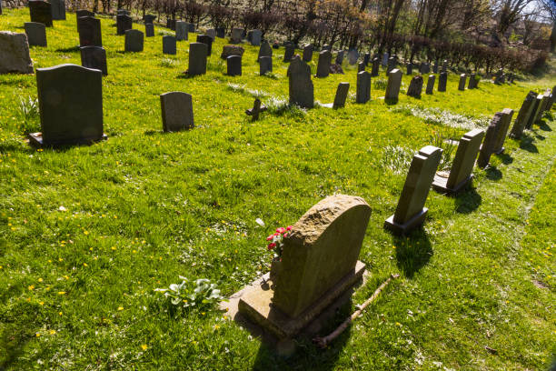 istock Backs of small graves, sunny day. 1191386565