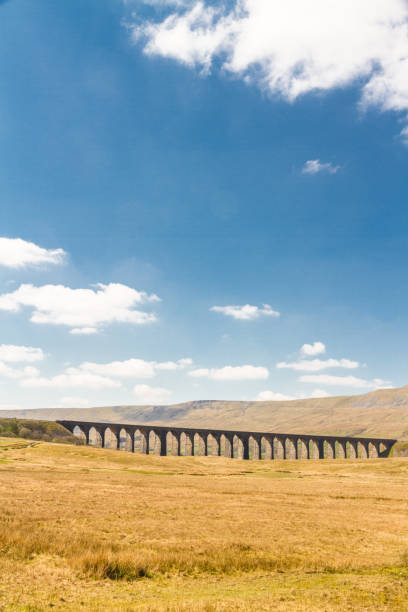 istock Viaduct with many arches in beautiful countryside, portrait with copyspace. 1191387044